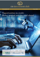 cio investment club