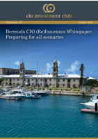 cio investment club