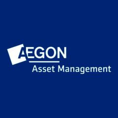Aegon Asset Manager